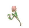 New Tulip Hair Claw Flower Grace Shark Clip Headdress Vintage Ponytail Claw Clip Trendy Sweet HAIR CLIP FOR GIRL Hair Jewelry