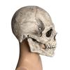 Full Head Skull Helmet Tear-Resistant Latex Headgear Skull Mask Latex Movable Jaw Mask For Cosplay Haunted House Outdoor