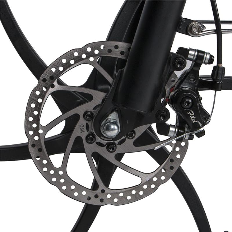 SAMEBIKE 20LVXD30 ელექტრო ველოსიპედი, 350 ვატი