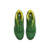 New Nike Air Zoom Pegasus 39 Oregon DR1970-300