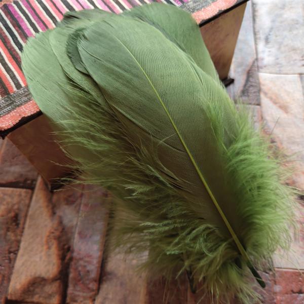 20pcs Natural Goose Feathers 31 Color Loose Goose Feathers 12-20cm Long Christmas Decoration Clothing Shoes Hat Accessories