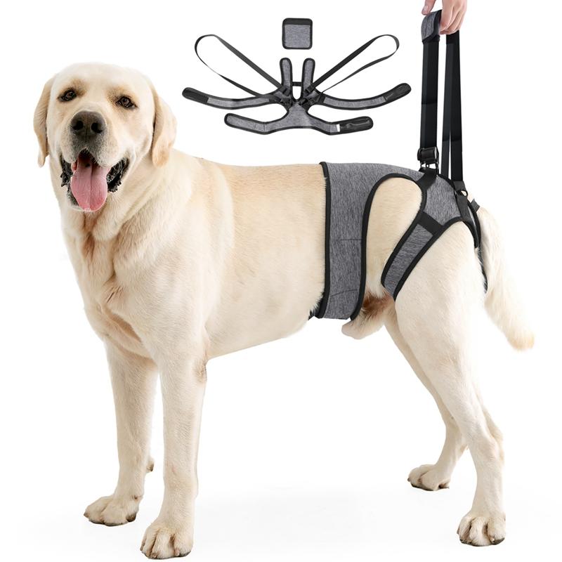 Dog Hind Leg Assist Harness Elderly Injured Dog Rehabilitation Belt Assisted Leash S