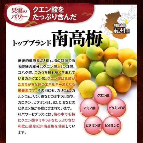 Stella Kampo Liver Power E+ (Oyster, Garlic, and Nanko Plum) (30 tablets x 2 bags)