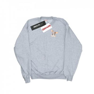Womens/Ladies Gizmo Chest Sweatshirt