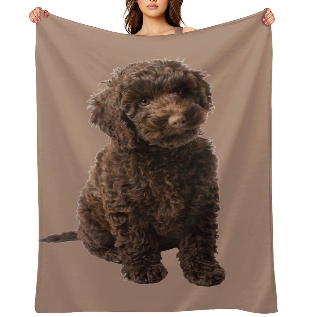 Labradoodle Throw Blanket Comforter Weighted Soft Big For Sofa Thin Blankets