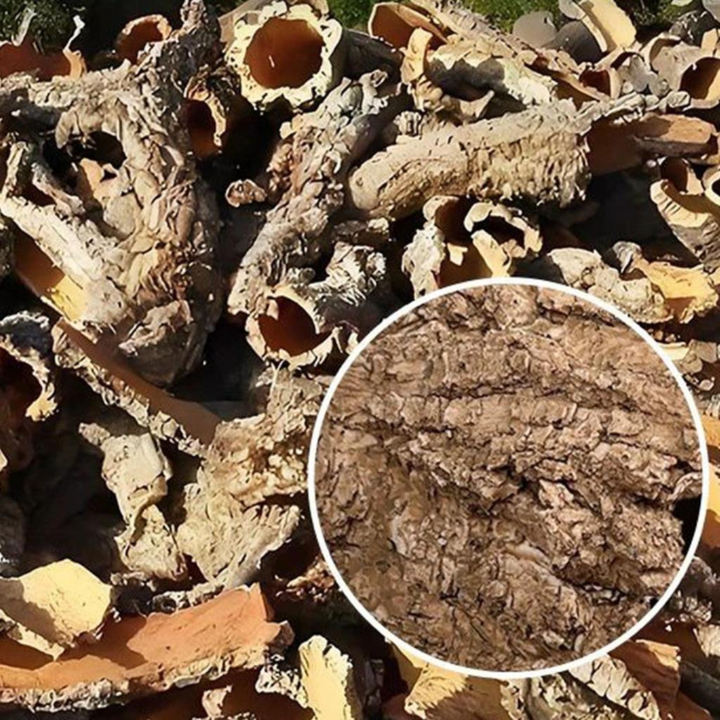 Gecko Hides Resin Shelter Cave Turtle Resting Terrace For Bearded Dragon Leopard Turtle Frog Geckos Reptiles Amphibians Aquarium