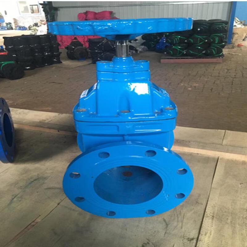 Jundingying DN65 Ductile Iron Resilient Seated Gate Valve