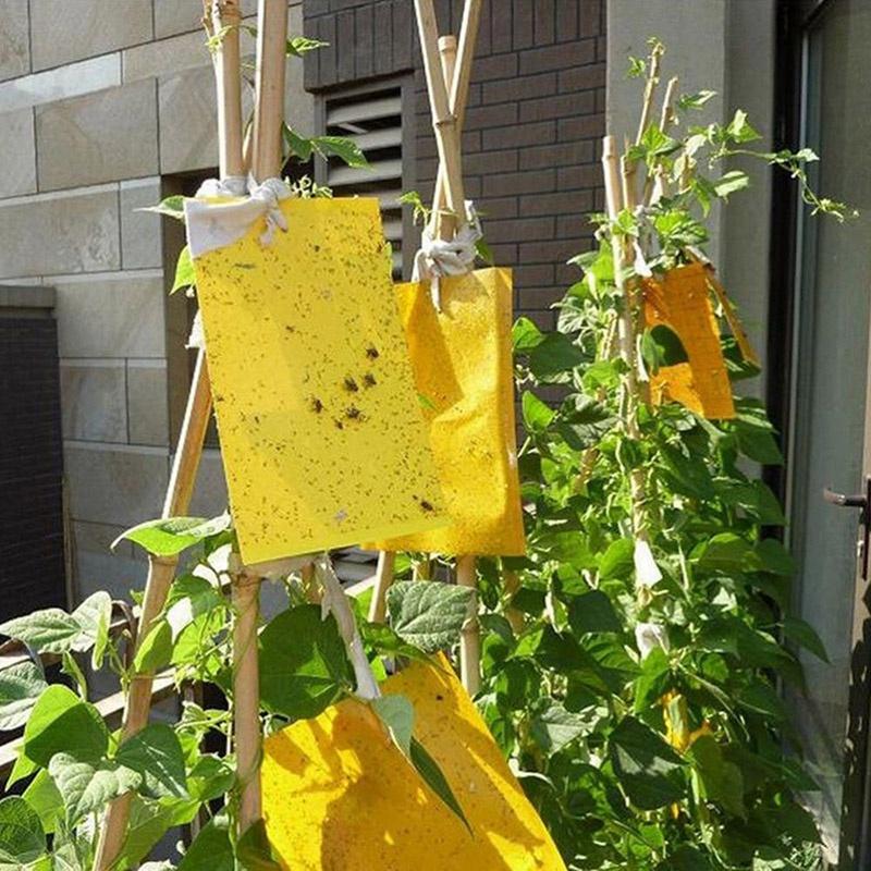 Premium 5pcs Outdoor Yellow Sticky Glue Flying Pest Insect Papers Traps For Bugs