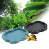 Reptile Feeder ABS Resin  Reptile Rock Food and Water Dish Feeder Bowl for Tortoise Lizard