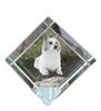 Icelandic Sheepdog, Icelandic Spitz, Iceland Dog – Crystal Cube with a Photo, Photo of a Horse In Crystal |