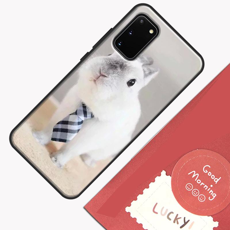 Baby Rabbits Bunny Phone Case For Samsung Galaxy S25 S26 Ultra S20 S21 S22 S23 S24 Plus S9 S10 S25 FE Cover Shell