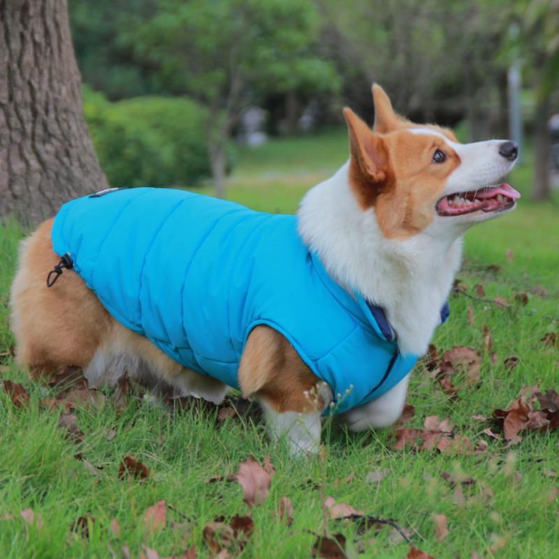 Pet Winter Vest Small To Large Dogs Warm Puffer Ins Style Cotton Jacket Schnauzer Corgi Teddy Bichon French Bulldog