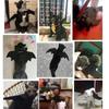 Halloween Bat Wings Costume for Dogs & Cats, Adjustable Felt Pet Bat Wing Dress-Up Accessory, Cute Puppy Holiday Party Outfit Pet Supplies