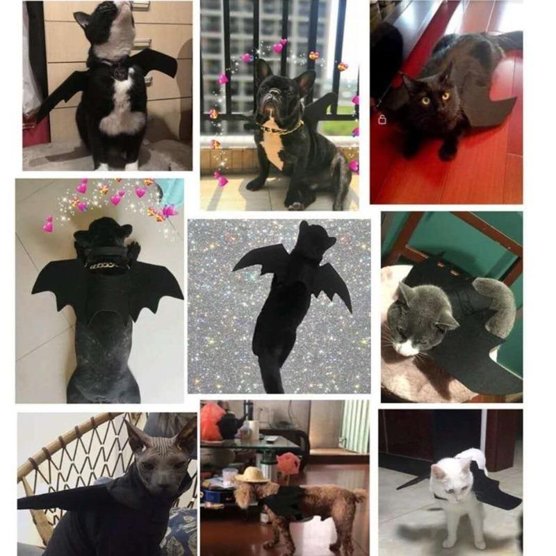 Halloween Bat Wings Costume for Dogs & Cats, Adjustable Felt Pet Bat Wing Dress-Up Accessory, Cute Puppy Holiday Party Outfit Pet Supplies