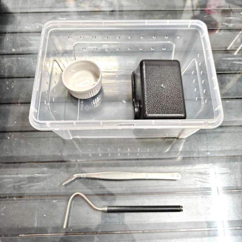Reptile Habitat Setup Kit Geckos Lizards Frogs Spiders With Hide Shelter Heat Lamp Base ABS Material
