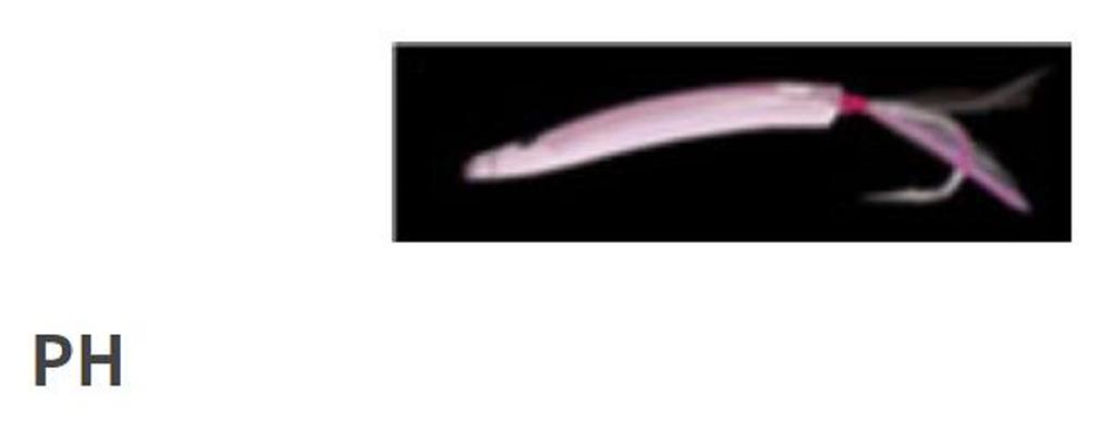 Yamashita Surf Yumizono II 45 PH (7767)