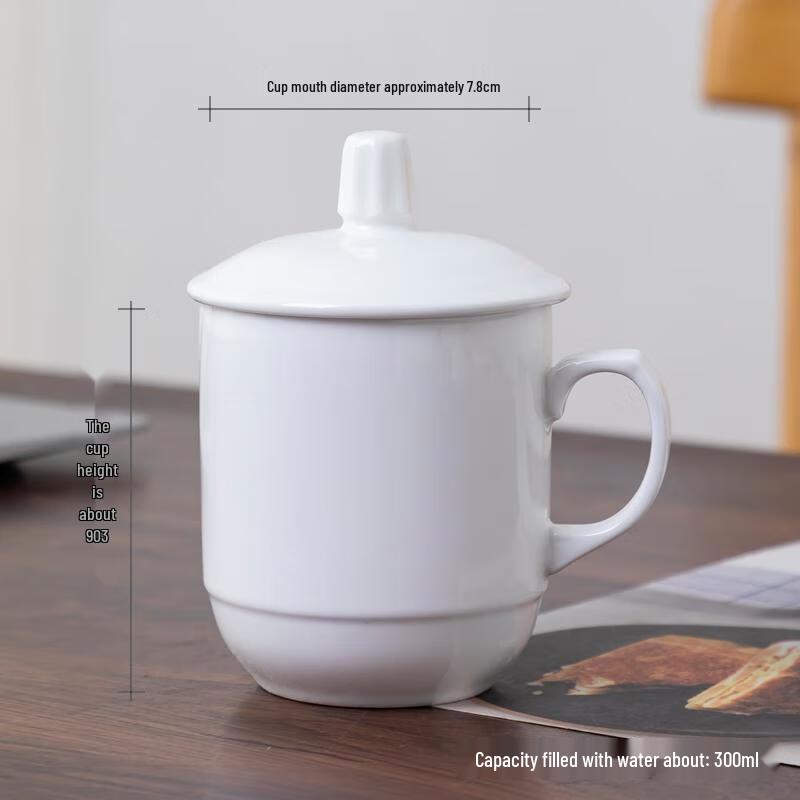 

HANDUNYOU Pure White 300ml Glass Mug for Office & Home