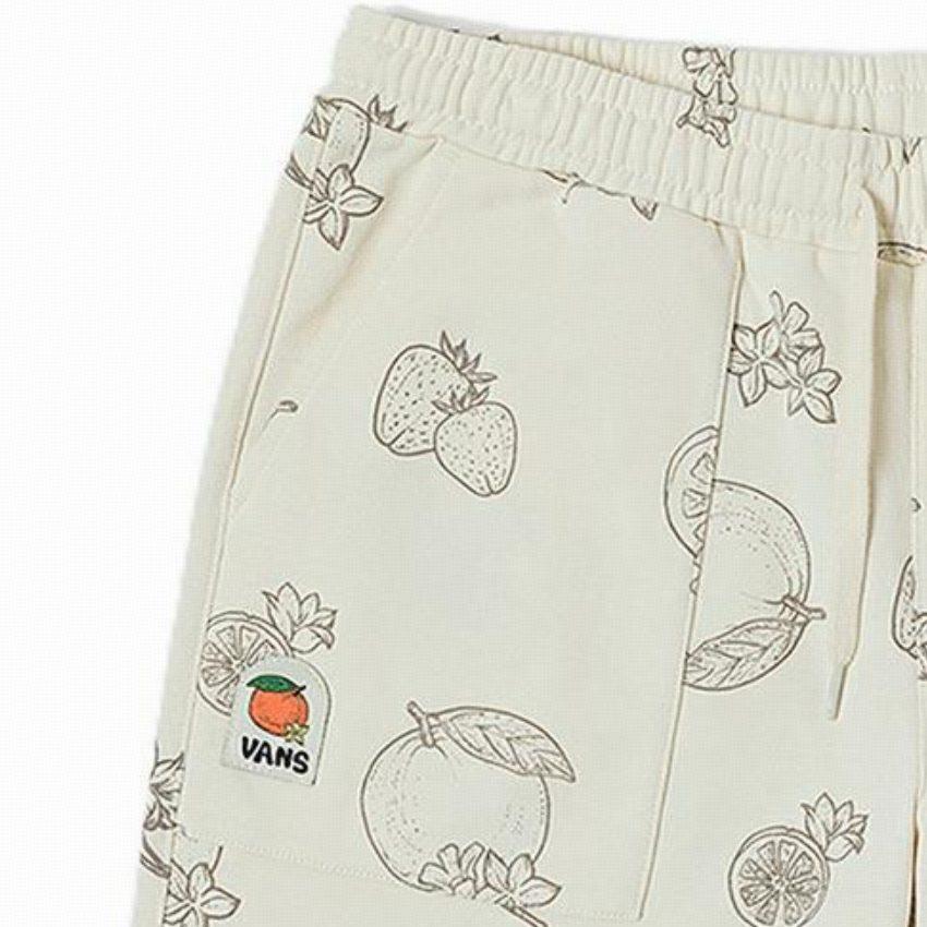 Vans Casual Shorts Women's Vintage White Patterned Print Moderate VN0008Y0BTA