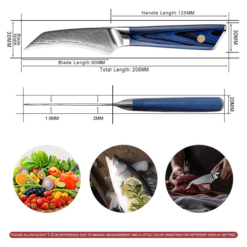 3,5-Zoll-Ausbeinmesser Japanischer VG10-Stahl 67 Schichten Damaststahl Küchenmesser Ausweidemesser mit G10-Griff GRANDSHARP