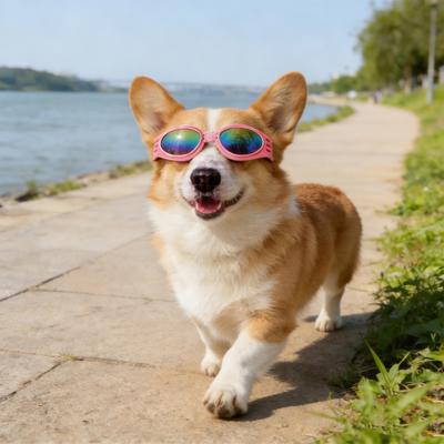 Yousheng Składane Okulary Przeciwsłoneczne dla Zwierząt Okulary dla Psa z Regulowanym Paskiem Ochrona UV Okulary dla Zwierząt Wiatroodporne Gogle dla Małych Średnich Psów Kotów