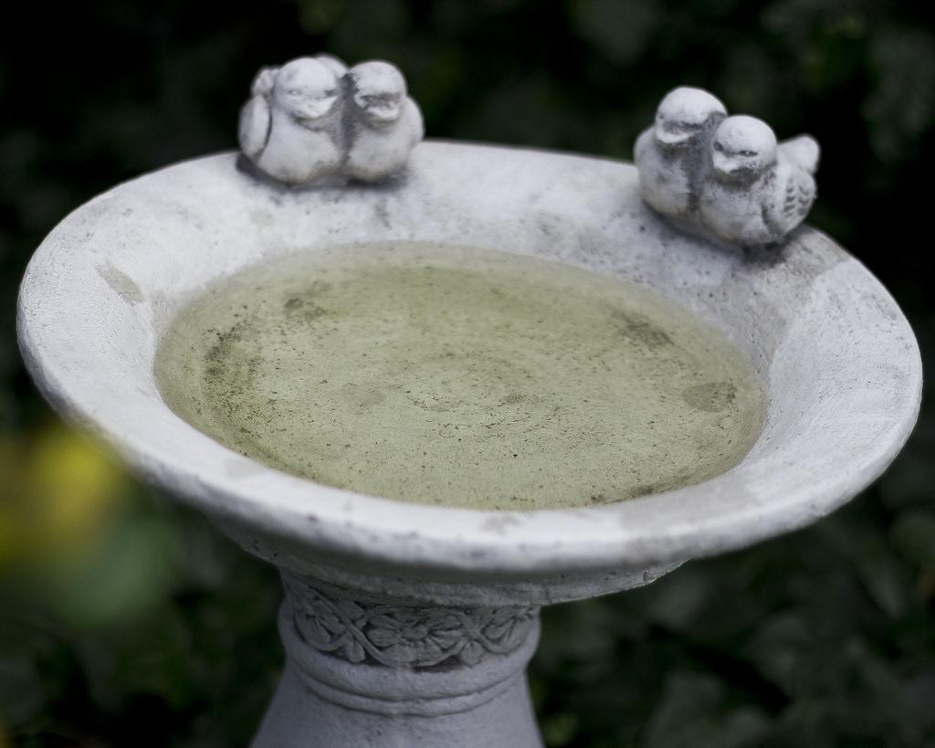 Concrete Bird Waterer On a Column for the Garden