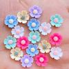 80Pcs New Cute Mixed Mini Chrysanthemum Flowers Flat Back Resin Cabochons Scrapbooking DIY Jewelry Craft Decoration Accessorie