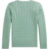 Polo Ralph Lauren Cotton Crew Neck Cable Knit Sweater Kids sweater 323702674-505