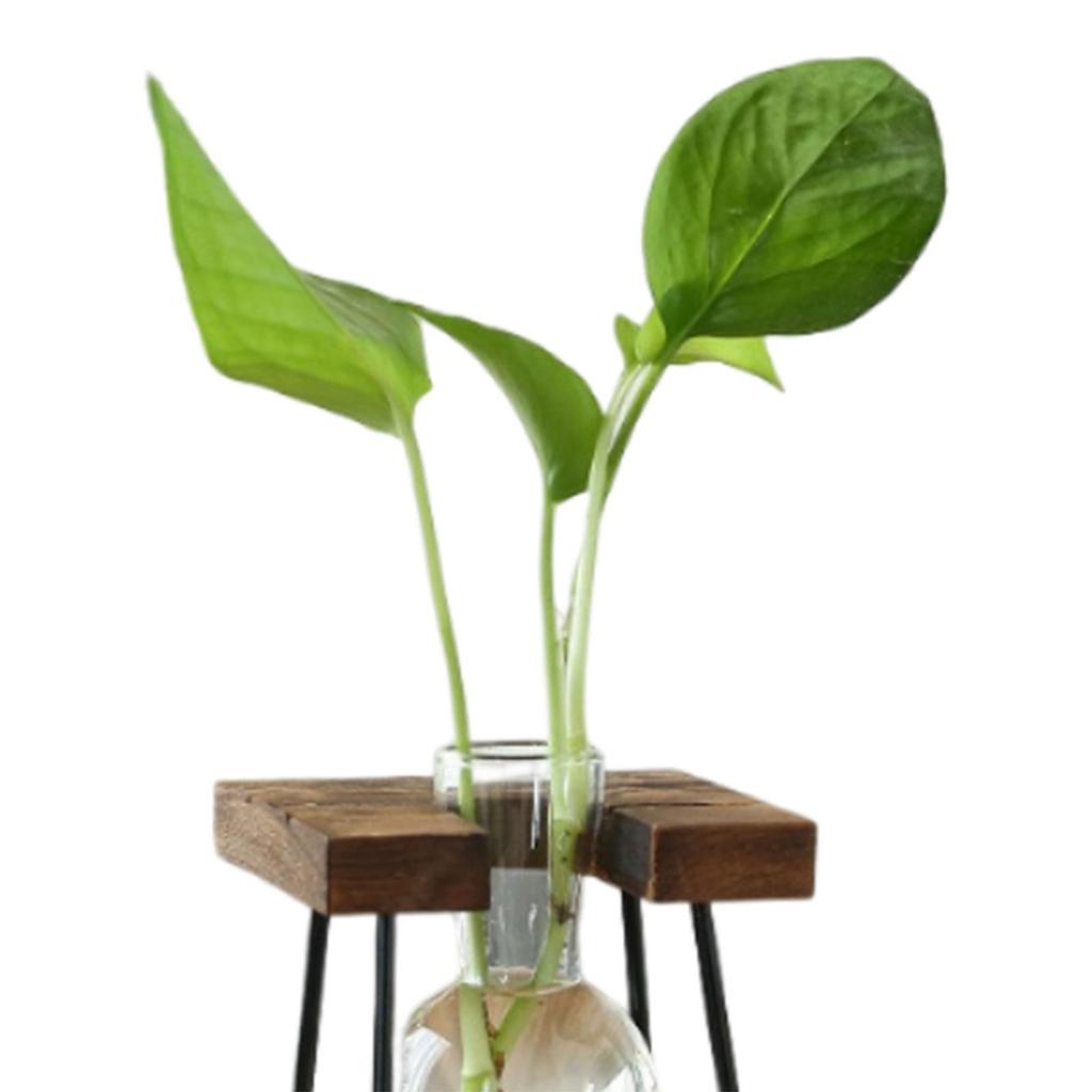 Glasblumenvase Hydroponische Blumenvase Pflanztopf Holzrahmen Heimdeko Blumentopf Knospenvase Modern für Bürotisch