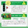 Electronic Circuit Clean Energy [Authorized Domestic Distributor] Electrical Circuit Experiment, Electronics, Japanese Guide Included, Wind Power, Hyd
