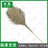 Jixiong Heavy-Duty Bamboo Brooms