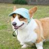 Pet Fashion Adjustable Dog Baseball Cap Soft Breathable with Ear Holes Dog Visor Hat Sun Protection Pet Sun Hat Travel Hiking