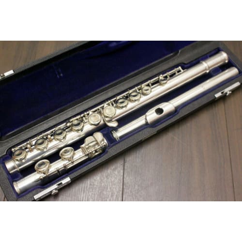 heizi Flute Case, Musical Instrument, Flute Hard Case, Storage, Black Leather, Piccolo, 16-Hole