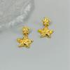 Manufacturer Supply Niche Design Fashion Personality Shining Zircon Star Earrings Light Luxury Earrings Spot