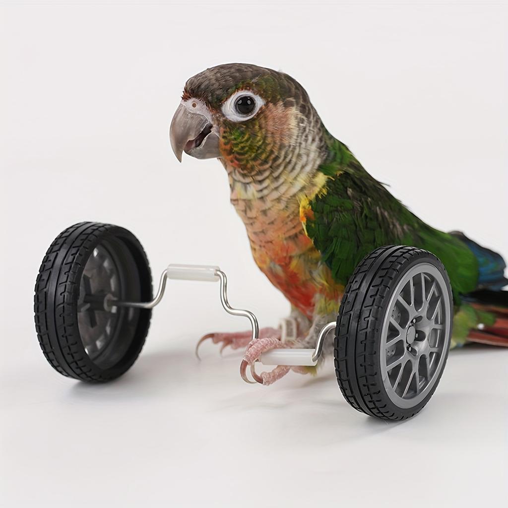 Creative Parrot Balance Toy Interactive Birds Toy Mini Intelligence Training Toy Pet Toy for Small Medium Birds Pet Supplies