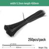 Black Self-Locking Nylon Cable Tie with Strong Anti-Theft Buckle