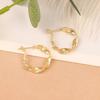Hoop Earrings