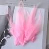 Pink Rooster Feather Natural Chicken Feathers Decor Fly Tying Accessories Crafts For Needlework And Handicraft Dersses Musilm 