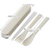 Skater Antibacterial Silent Trio Set Chopsticks Spoon Fork Dull Gray Made in Japan TAC1AG-A