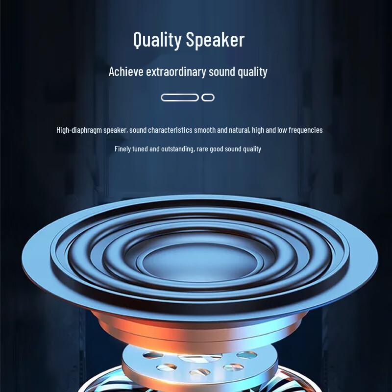 Huidu HT-081 Professional Passive Wooden Stage Speaker