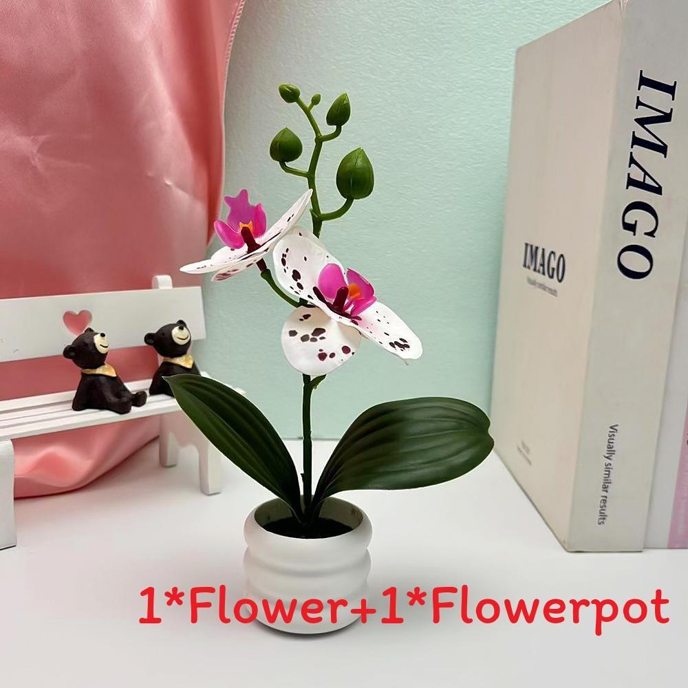 

Phalaenopsis Flower Potted For Event Decor And Indoor Home Embellishment Purple White