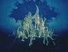 AWE Press XG (Mini Album) (Solo ver. (JURIA)) (First Edition) -