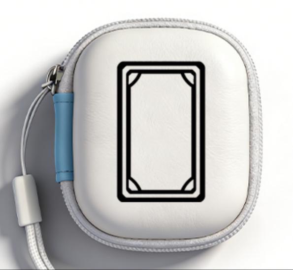 Custodia Zippata con Comparto di Ricarica per Auricolari Bluetooth