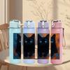 1PC Solid Black Cat Face Portrait Print 750ml Color Plastic Sports Water Bottle Leakproof Flip Straw Lid Suitable for Sports Office Home Use
