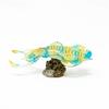 AF-202 Bigfin Reef Squid Mini Model