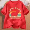Capybara Is My Spirit Animal Shirt Animal Lover Tee Capybara Lover T-Shirt Vintage Graphic T-shirts Funny Anime Unisex Tshirts