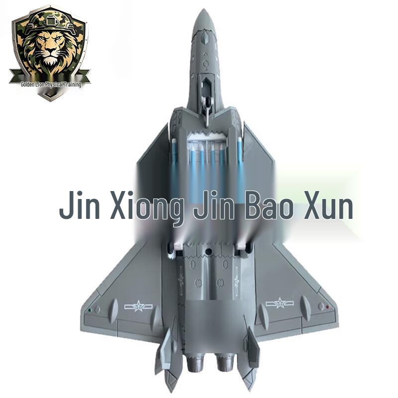 Golden Lion J-20 Fighter Jet Scale Model