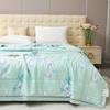 Tencel Mulberry Silk Summer Quilt