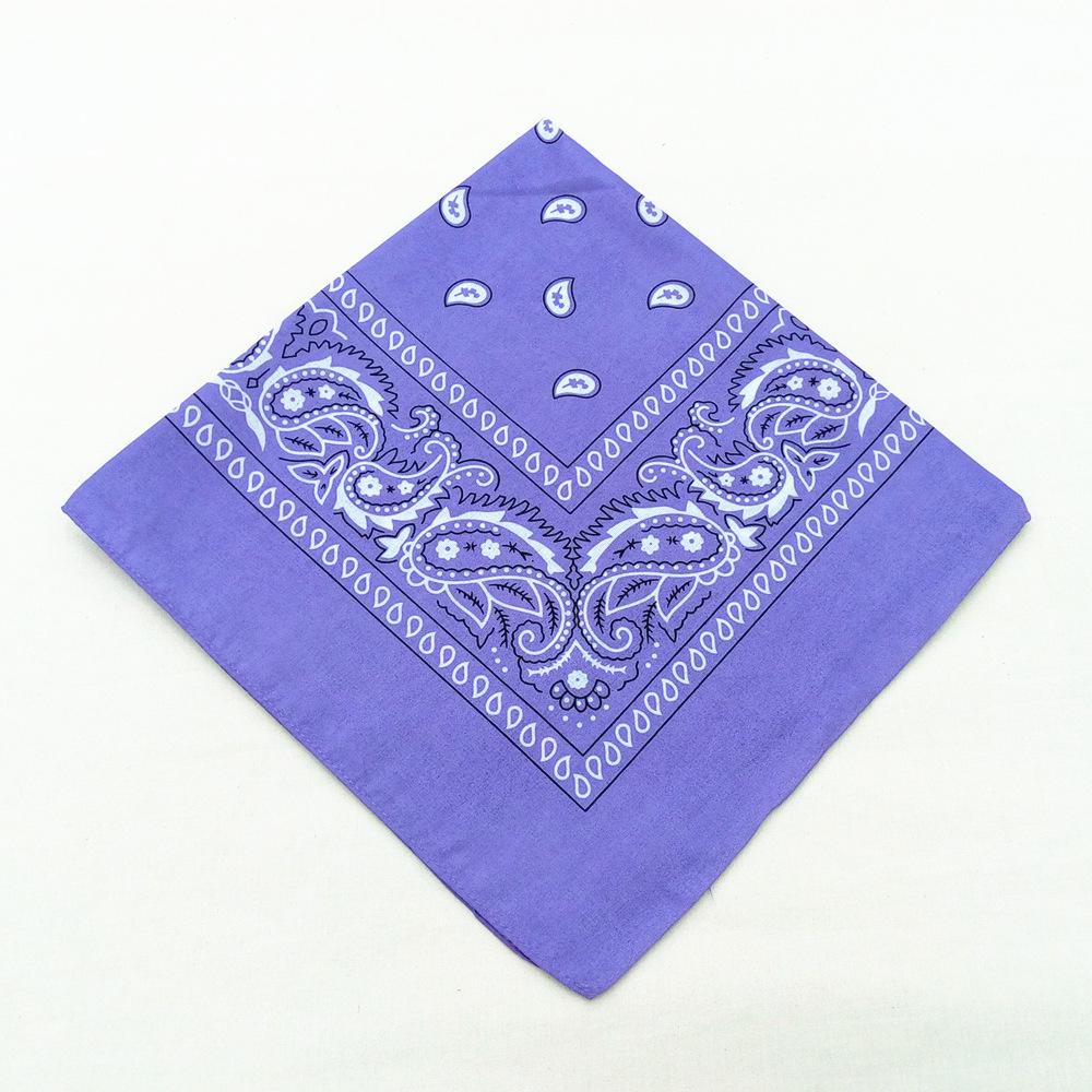 Hip Hop Bandana 23 Stijlen Man Vrouw Mode Outdoor Hoofdbanden Haarband Polsbanden Haar Sjaals Hoge Kwaliteit Haar Accessoires