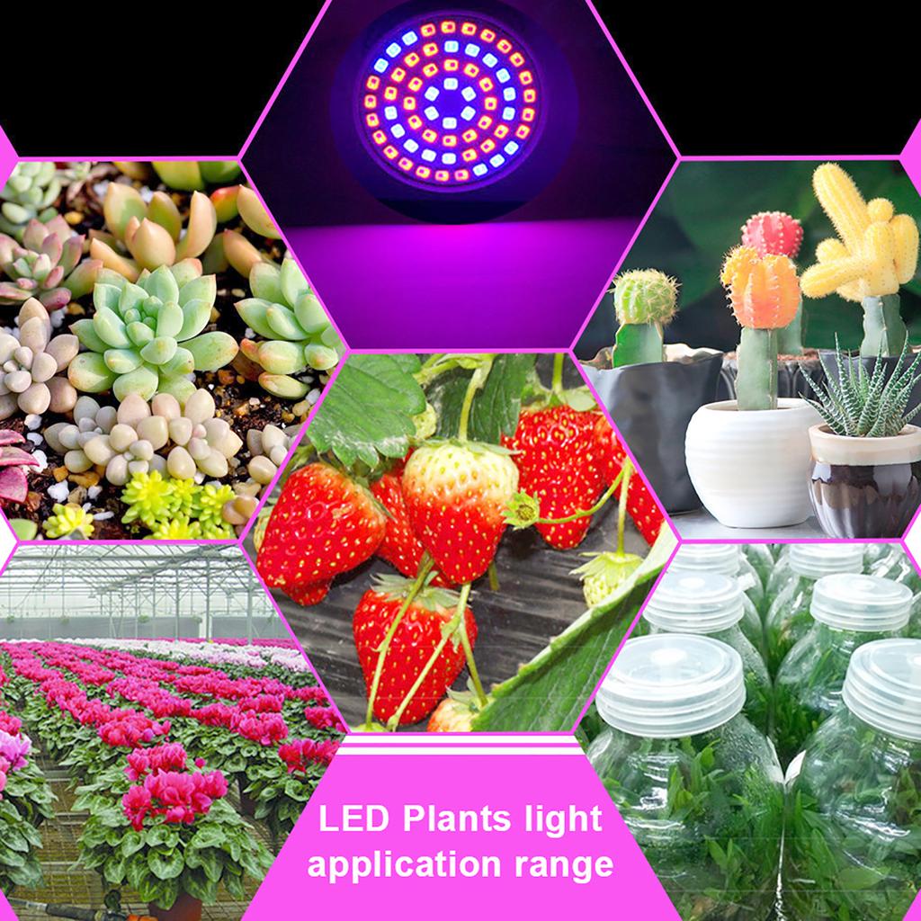 220/110V Plant Growth Light 36/72 LED Full Spectrum 3W/5W Garden Greenhouse Seedling Nursery Growth Promotion Lamp Planting Tool