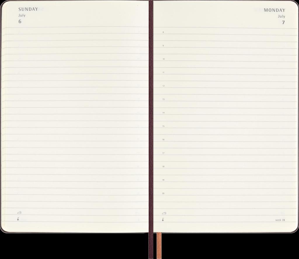 Moleskine Harry Potter 2025 Planner, January Start, 1 Page Per Day, 12-Month Daily Diary, Large Size (13cm W x 21cm H), Hardcover, Axio DHP12DC3Y25